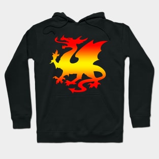 Hot Fire Dragon Design Hoodie